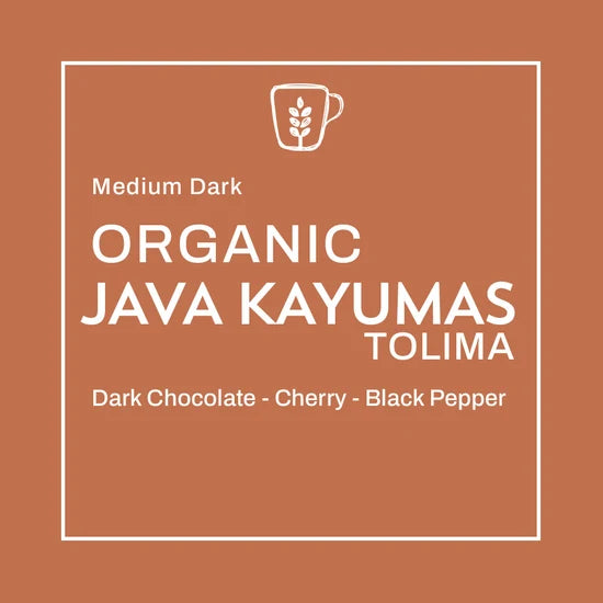 The Sip & Brew Box: Flying High Chai